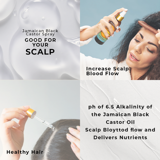 Jamaican Black Castor Oil Spray 4oz Tea Tree