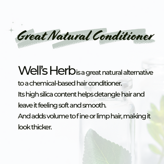 Well's Herb Ginger Root 1.9 oz.