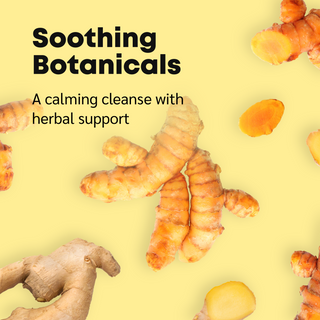 Turmeric Facial Cleanser 3.4 fl. oz.
