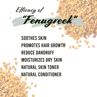 Well's Herb Fenugreek Seed 3.4oz