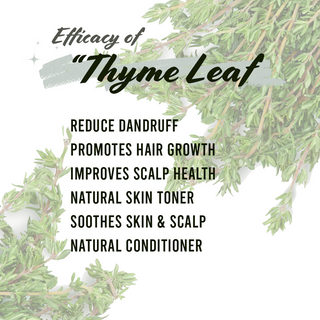 Well's Herb Thyme Leaf 1.2 oz.