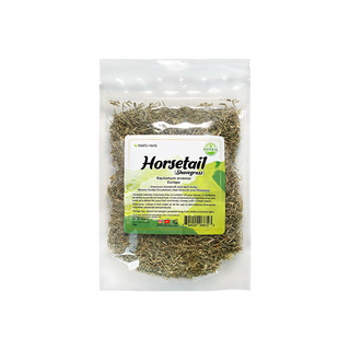 Well's Herb Horsetail/Shavegrass