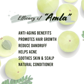 Well's Herb Amla/Indian Gooseberry 1.9 oz.