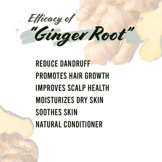 Well's Herb Ginger Root 1.9 oz.