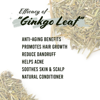 Well's Herb Ginkgo Leaf 0.9 oz.