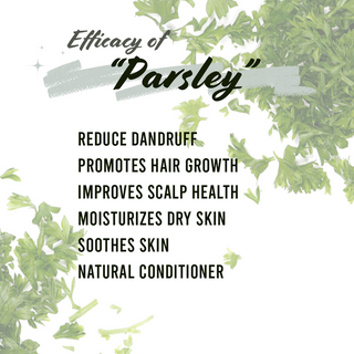 Well's Herb Parsley 0.5 oz.