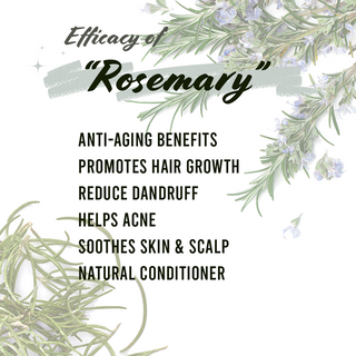 Well's Herb Rosemary