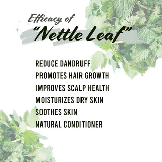 Well's Herb Nettle Leaf 0.5 oz.