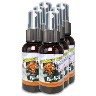 Air Freshener 1oz CINNAMON BROOM